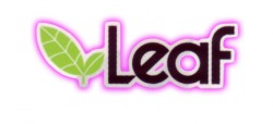 Leaf