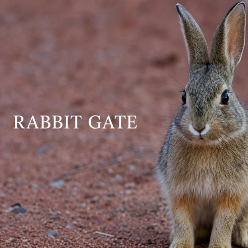 Rabbit Gate